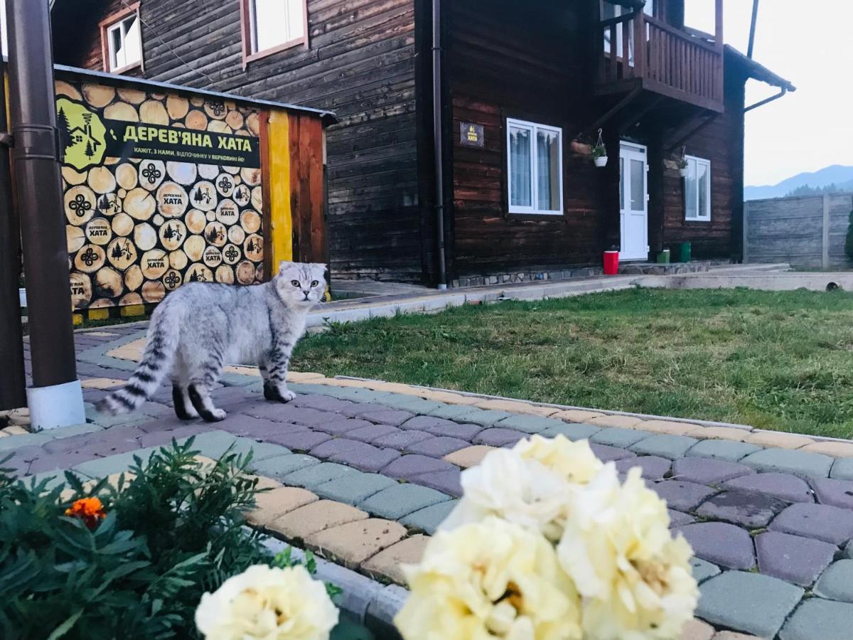 Садиба Дерев*Яна Хата Verkhovyna Bagian luar foto